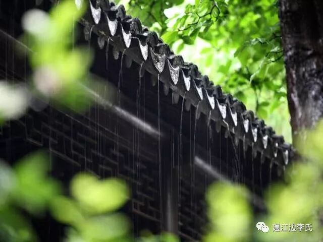 初入政坛