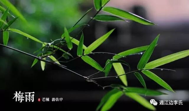 练兵南疆