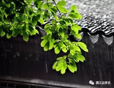 擢升臬藩